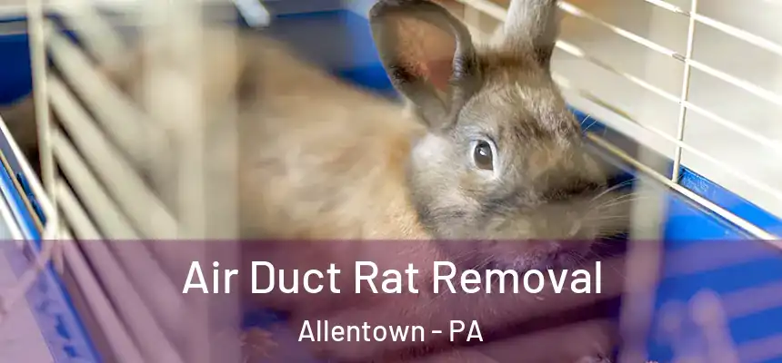 Air Duct Rat Removal Allentown - PA