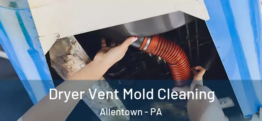 Dryer Vent Mold Cleaning Allentown - PA