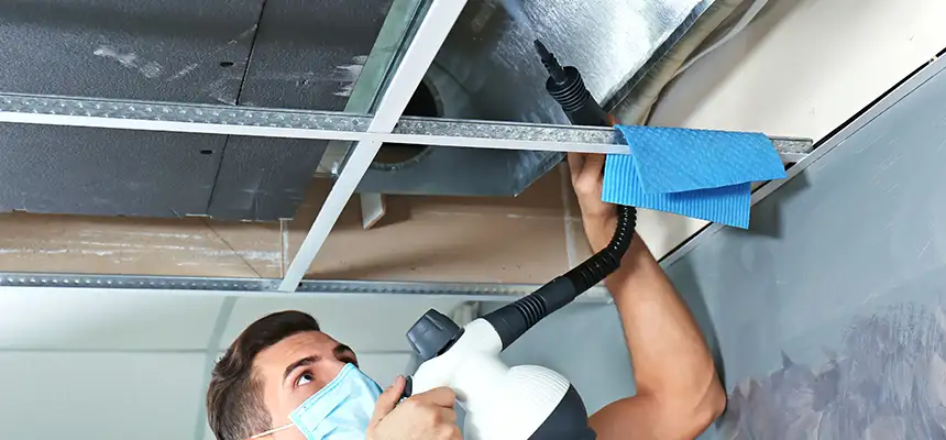 Our Air Duct Rodent Removal Services in Allentown, PA
