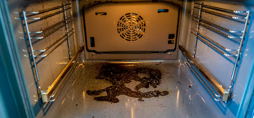 Our Dryer Vent Mold Cleaning Services in Allentown, PA