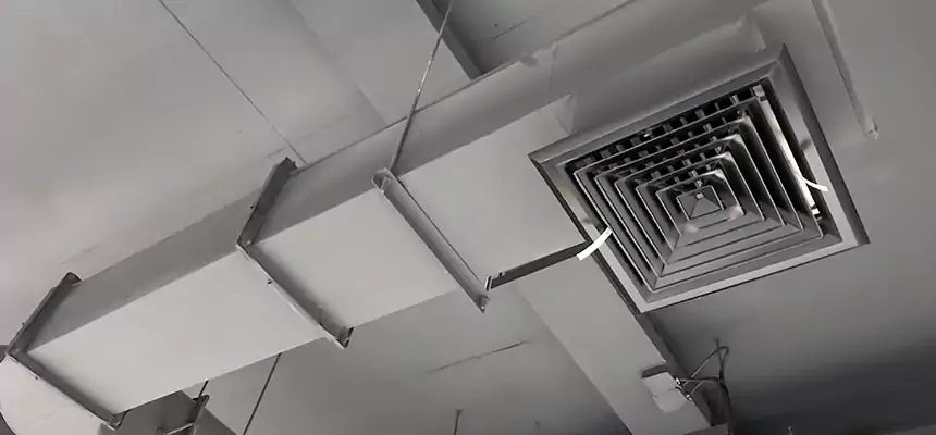 Our Pest Removal From Ducts Services in Allentown, PA