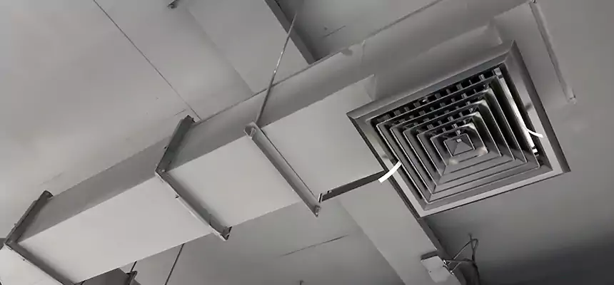 Our Rodent Droppings In Vents Services in Allentown, PA