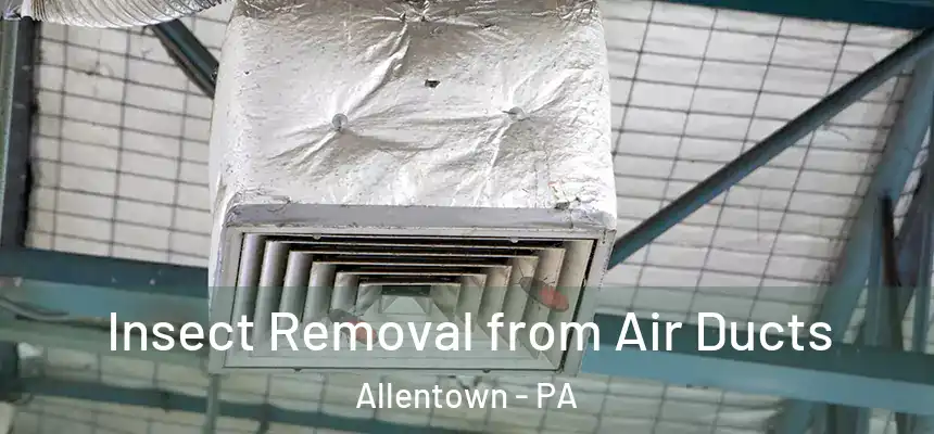 Insect Removal from Air Ducts Allentown - PA