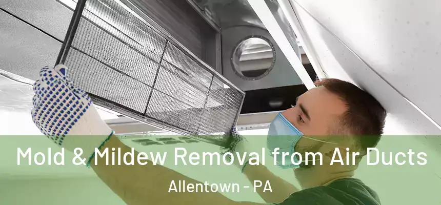  Mold & Mildew Removal from Air Ducts Allentown - PA