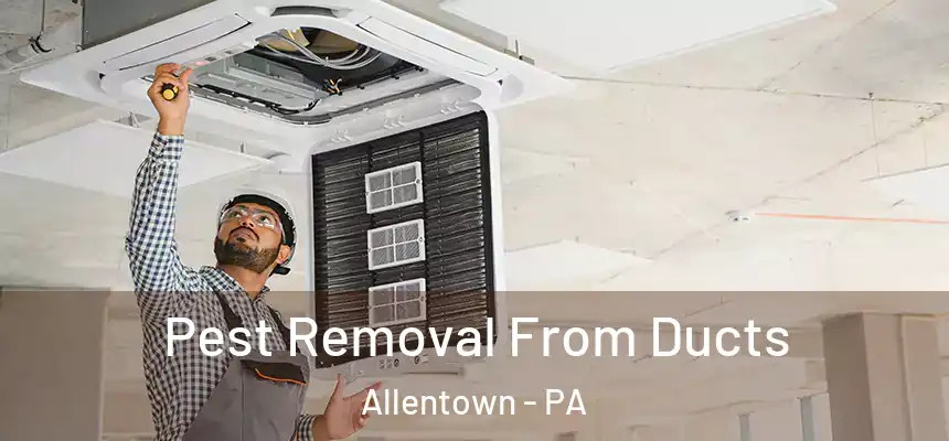 Pest Removal From Ducts Allentown - PA
