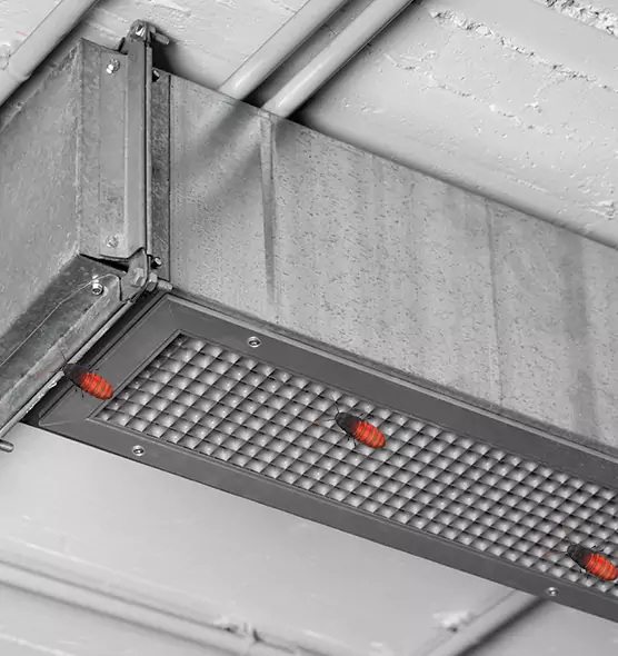About Air Duct Cockroach Removal in Allentown, PA
