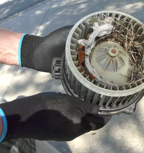 About Air Duct Rat Removal in Allentown, PA