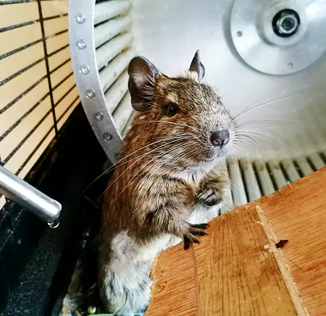 Why Homeowners & Businesses Trust Us Allentown, PA